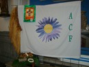 DSC00945